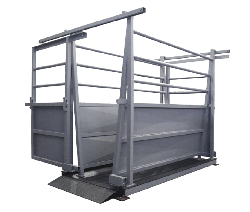 Bascule Pour Peser Le Bétail Vivant